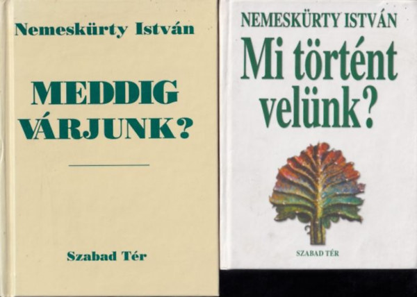 Nemeskürty István - Meddig várjunk? + Mi történt velünk? (2 db)