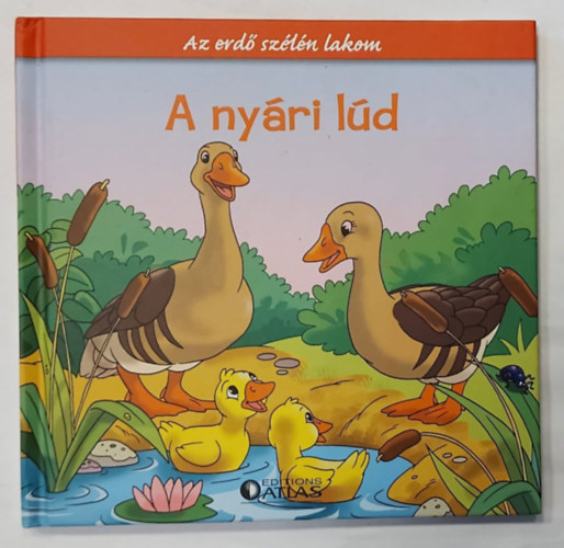 Feryal Kanbay - Stephan Grtler - A nyri ld - Az erd szln lakom