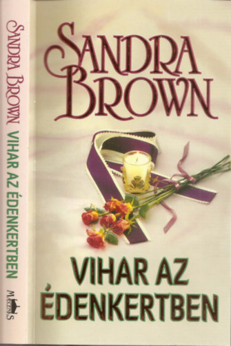 Sandra Brown - Vihar az denkertben