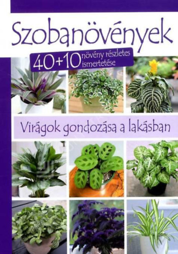 Dobos Éva Perényi József - Szobanövények - 40+10 növény részletes ismertetése