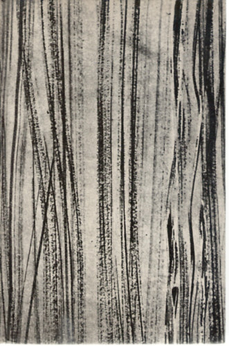 Crome-Füller-Gruner-Hartwich - Urania Állatvilág: Alsóbbrendű állatok