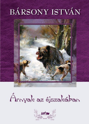 Bársony István - Árnyak az éjszakában