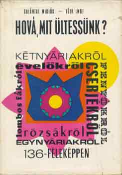 Gal�ntai M.-T�th I. - Hov�, mit �ltess�nk?