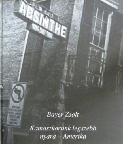 Bayer Zsolt - Kamaszkorunk legszebb nyara - Amerika