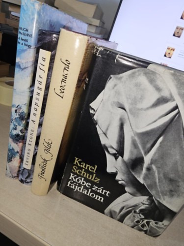 Hugh McLeave, Irving Stone, Karel Schulz Frantisek Jilek - 4db művész életrajz, KÖNYVMENTŐ AJÁNLAT: Leonardo+ A festő és a hegy (Cézanne élete)+ A napsugár fia - Van Gogh élete+ Kőbe zárt fájdalom (Michelangelo Buonarroti életregénye)