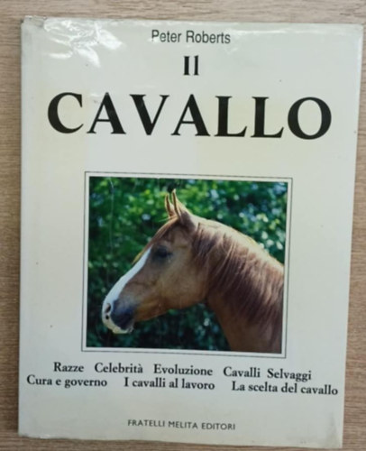Peter Roberts - Il Cavallo (A l�)
