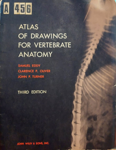 Catherine R. Coulter A. U. Ramakrishnan - Homeop�tia �s a r�k ( Egy lehets�ges megk�zel�t�s )