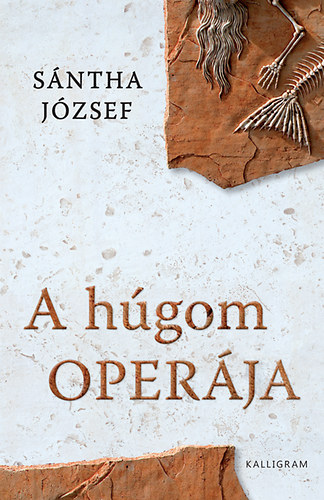 S�ntha J�zsef - A h�gom oper�ja