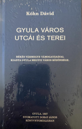 K�hn D�vid - Gyula v�ros utc�i �s terei