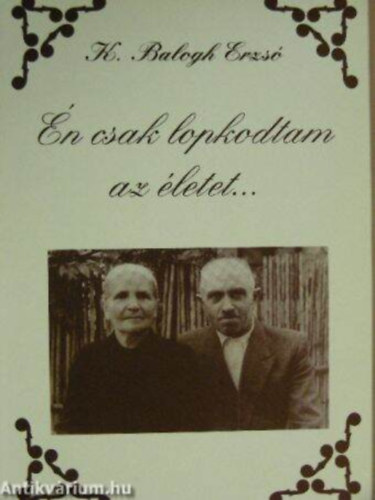 �n csak lopkodtam az �letet...