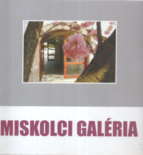 Miskolci galria