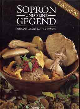 Zolt�n Hal�sz-K�roly Hemz� - Sopron und seine gegend