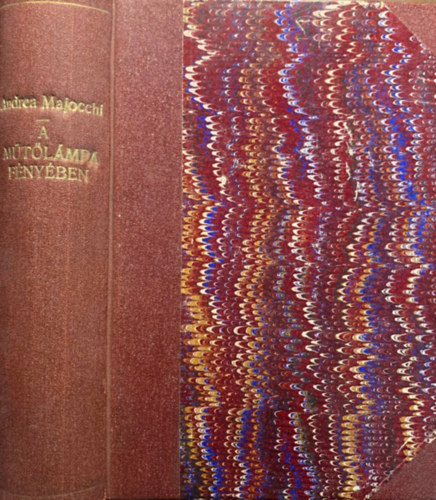 Majocchi - A műtőlámpa fényében (Egy sebész önéletrajza)