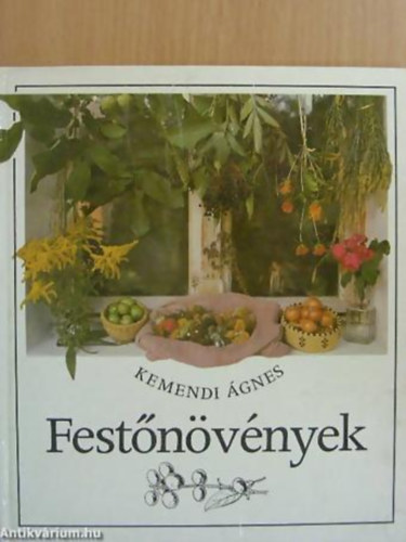 Kemendi gnes - Festnvnyek