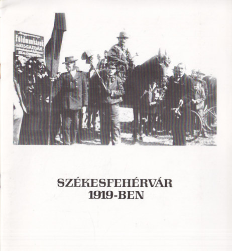 Sz�kesfeh�rv�r 1919-ben