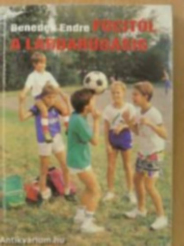 Benedek Endre - Focitl a labdargsig