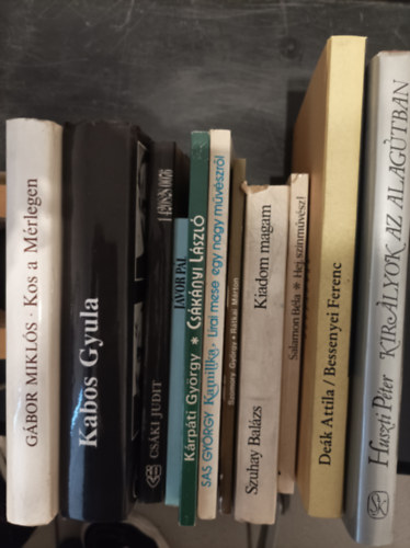 11db színész könyv