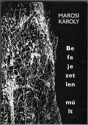Marosi Károly - Befejezetlen múlt