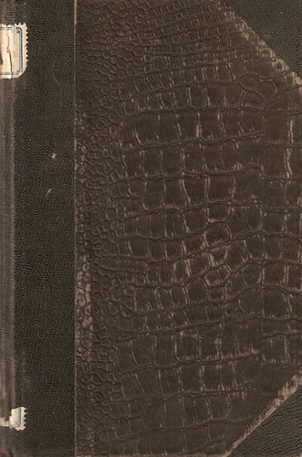 Domonkos Istvn - Szentfldi zarndokt