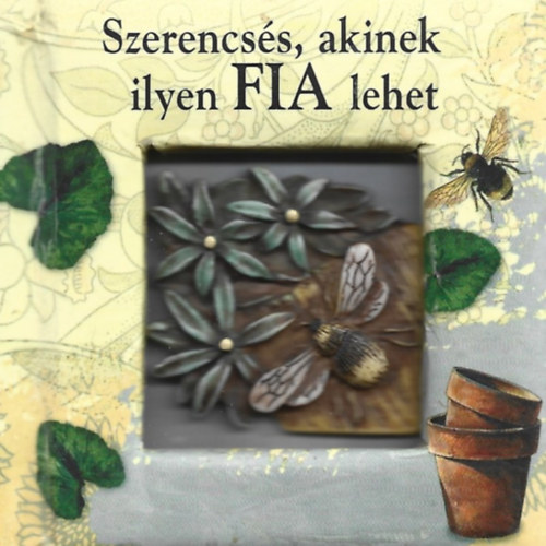 Szerencsés, akinek ilyen fia lehet - idézetes könyvecske