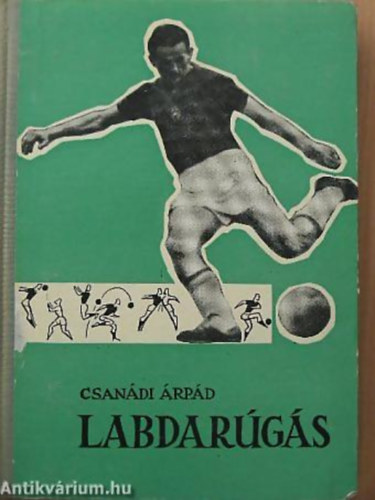 Csandi rpd - Labdargs III. - Az edzs