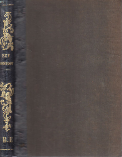 Rzsagi Antal  Saint Germain (ford.) - Egy gombost