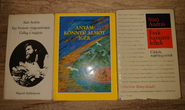 3 k�nyv S�t� Andr�st�l: Egy l�csisz�r vir�gvas�rnapja/Csillag a m�gly�n, Any�m k�nny� �lmot �g�r, �vek - Hazaj�r� lelkek