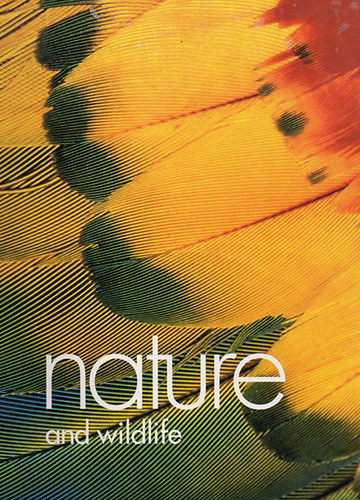 Kevin Schafer - Nature and Wildlife