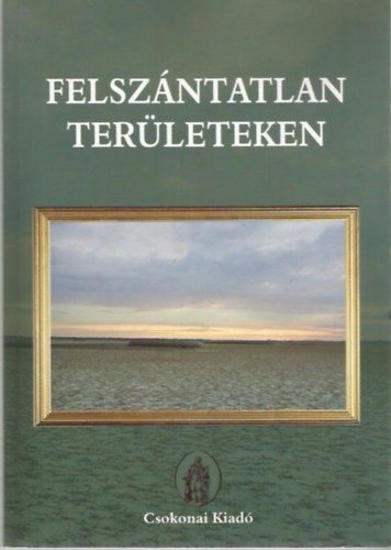 Feny� Imre  (szerk.) - R�bay Magdolna  (szerk.) - Felsz�ntatlan ter�leteken