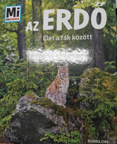Anette Hackbarth - Az erd