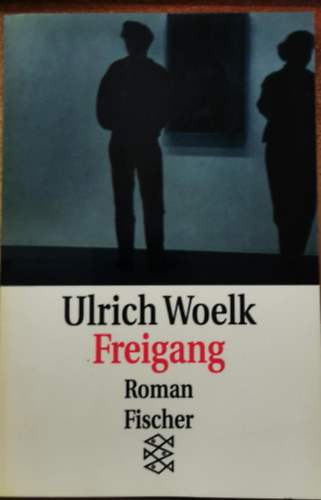 Ulrich Woelk - Freigang: Roman