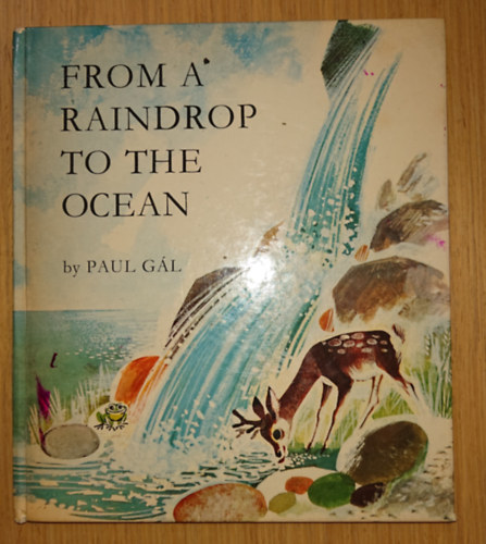 Paul Gl - From the Raindrop to the Ocean