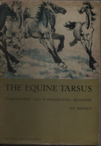 Kovcs Gyula - The equine tarsus - Topographic and radiographic anatomy