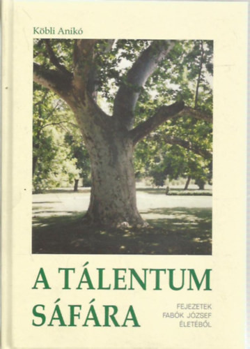 Köbli Anikó - A tálentum sáfára - Fejezetek Fabók József életéből