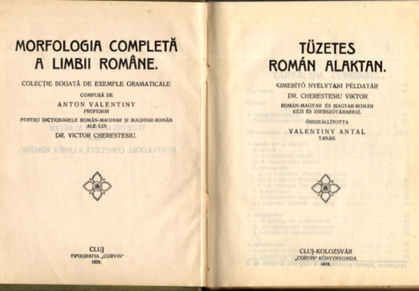 Cherestesiu Viktor dr.- Valentiny Antal - Tzetes romn alaktan (Kimert nyelvtani pldatr)