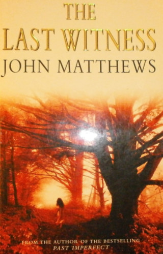 John Matthews - The Last Witness