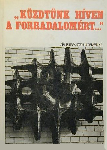 Bkevri Sndor Brsony Ferenc - ,,Kzdtnk hven a forradalomrt..." - A magyar munksmozgalom Bcs-Kiskun megyei harcosainak letrajzgyjtemnye