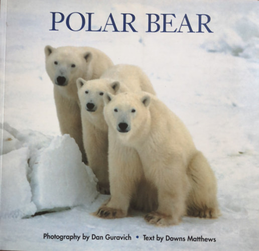 Dan, Matthews, Downs Guravich - Polar Bear (Jegesmedve - angol nyelv�)
