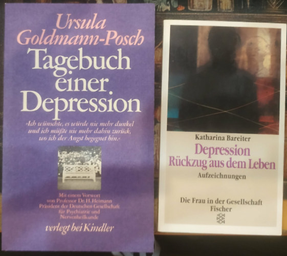 Katharina Bareiter, Ursula Goldmann-Posch - 2 db Depression Rückzug aus dem Leben + Tagebuch einer Depression