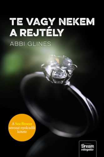 Abbi Glines - Te vagy nekem a rejt�ly