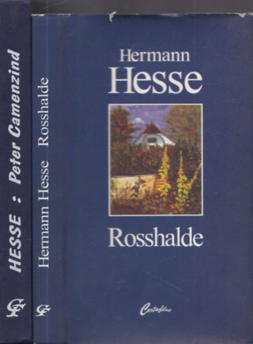 Hermann Hesse - 2db regny - Peter Camenzind + Rosshalde