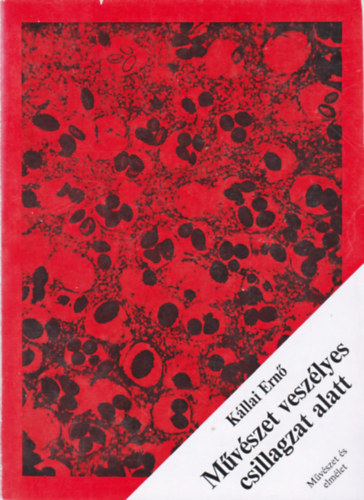 K�llai Ern� - M�v�szet vesz�lyes csillagzat alatt: V�logatott cikkek, tanulm�nyok (M�v�szet �s elm�let)