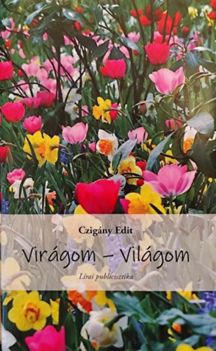 Czigny Edit - Virgom - vilgom (Lrai publicisztika)