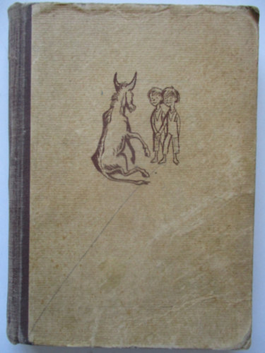 Korn�l Makuszynski - Akik ellopt�k a holdat