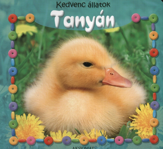 Fecske Csaba - Kedvenc llatok - Tanyn
