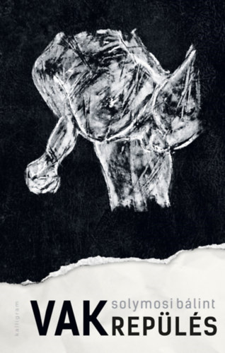 Solymosi Bálint - Vakrepülés