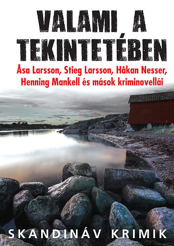 John-Henri Holmberg  (szerk.) - Valami a tekintet�ben (Skandin�v krimik)