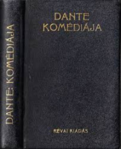 Dante Alighieri - A pokol (Dante kom�di�ja I. r�sz)