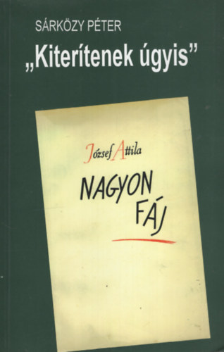 Sárközy Péter - Kiterítenek úgyis - József Attila kései költészete
