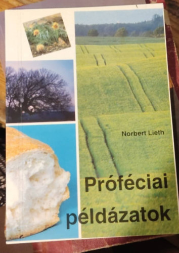 Norbert Lieth - Prfciai pldzatok